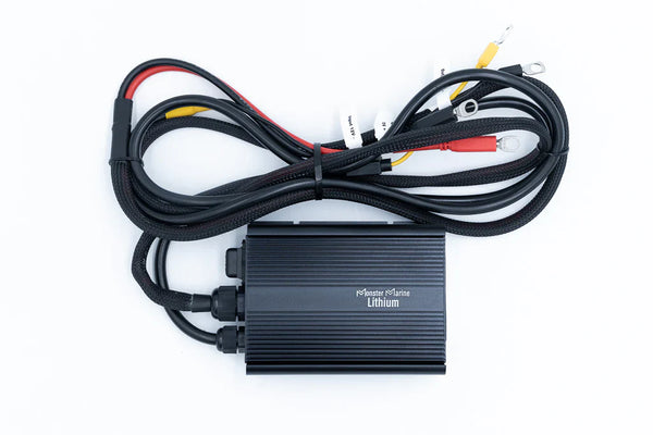 12v to 36v Quantum Charger On The Go - Battery Chargers