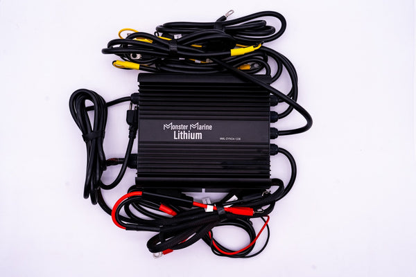 36v DYNO4 Dynamic Charger - Battery Chargers