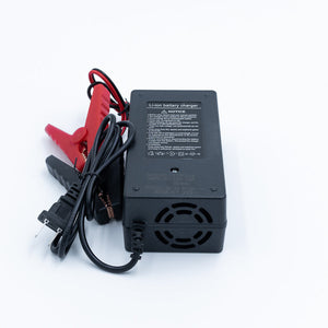 12v 10a Non Waterproof LiFePO4 Charger - Chargers