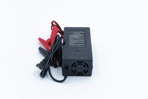 12v 10a Non Waterproof LiFePO4 Charger - Chargers
