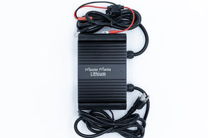12V 10A Waterproof Lithium Battery Charger - Chargers