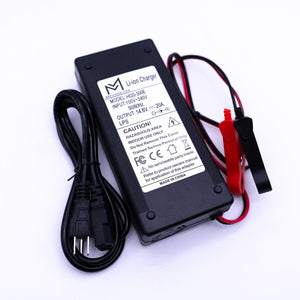 12v 20A Non Waterproof Charger