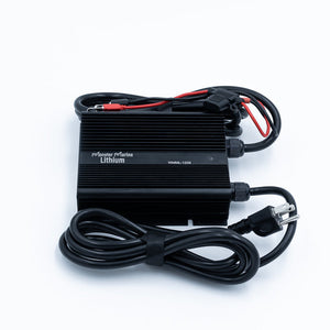 12v 5a waterproof charger - Chargers
