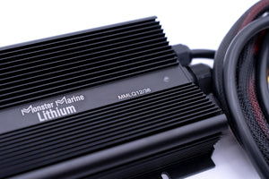 12v to 36v Quantum Charge ’On The Run” - Chargers