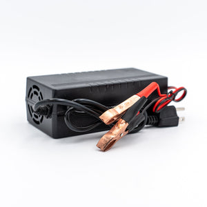 36v 4A Non Waterproof LiFePO4 Charger - Chargers