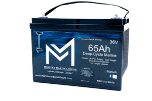 36V 65Ah Bluetooth Deep Cycle Lithium Trolling Battery - 36V Battery