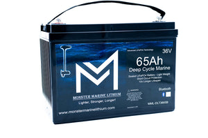 36V 65Ah Bluetooth Deep Cycle Lithium Trolling Battery - 36V Battery