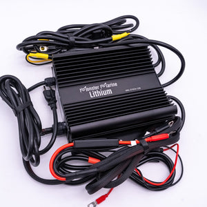 36v DYNO4 Dynamic Charger