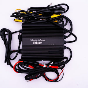 36v DYNO4 Dynamic Charger