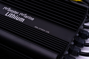 36v DYNO4 Dynamic Charger