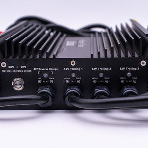 36v DYNO4 Dynamic Charger - Battery Chargers