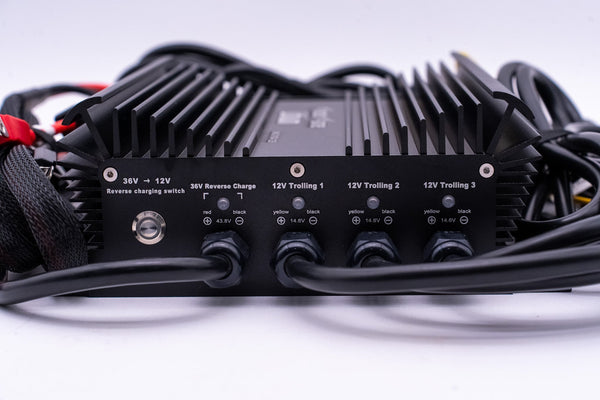 36v DYNO4 Dynamic Charger - Battery Chargers