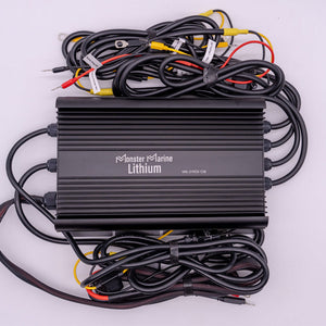 36v - DYNO5 - DYNAMIC CHARGER