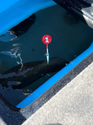 DD26 Fishing CULL ID tags - Fishing Accessories