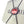 DD26 Graph Straps - Red - Graph Protection