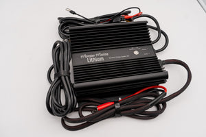 Dynamic Charge System 36V ’The Ultimate Dual Charger’ - 36v - Chargers