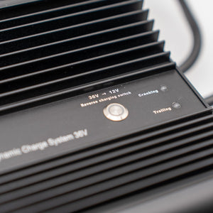 Dynamic Charge System 36V ’The Ultimate Dual Charger’ - 36v - Chargers