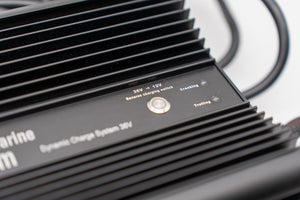 Dynamic Charge System 36V ’The Ultimate Dual Charger’ - 36v - Chargers