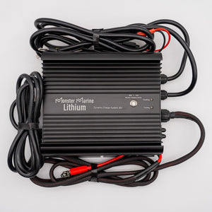 Dynamic Charge System 36V ’The Ultimate Dual Charger’ - 36v - Chargers