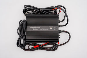 Dynamic Charge System 36V ’The Ultimate Dual Charger’ - 36v - Chargers