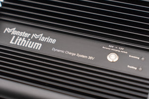 Dynamic Charge System 36V ’The Ultimate Dual Charger’ - 36v - Chargers