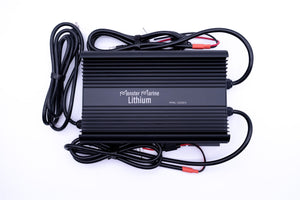 Fast Dual 12v & 36v marine waterproof AGM/Lithium charger - Chargers