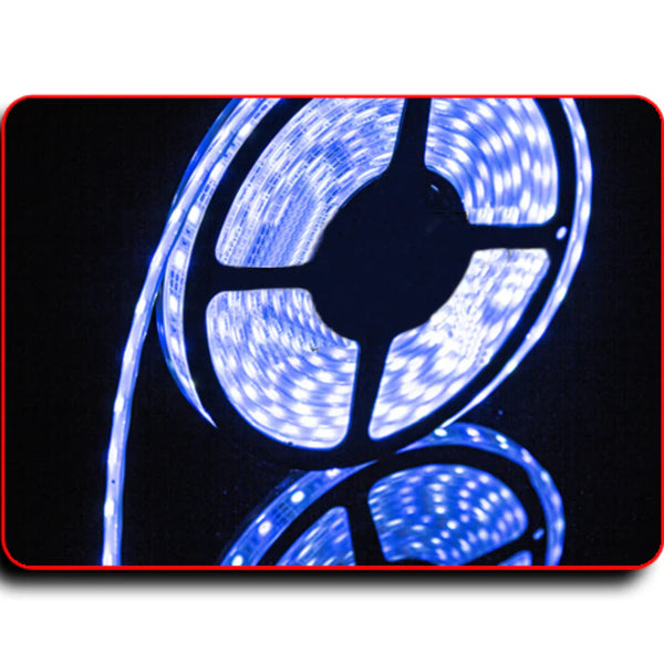 Waterproof Flexible Light Strip - IP68 - 12V Dual Color Blue + Cool White - Led Lighting