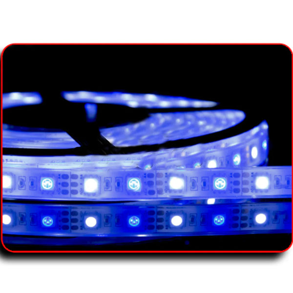 Waterproof Flexible Light Strip - IP68 - 12V Dual Color Blue + Cool White - Led Lighting