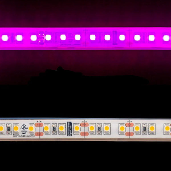 Waterproof Flexible Light Strip - IP68 - 12V Pink - Led Lighting