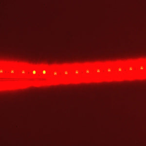Waterproof Flexible Light Strip - IP68 - 12V Red - Led Lighting